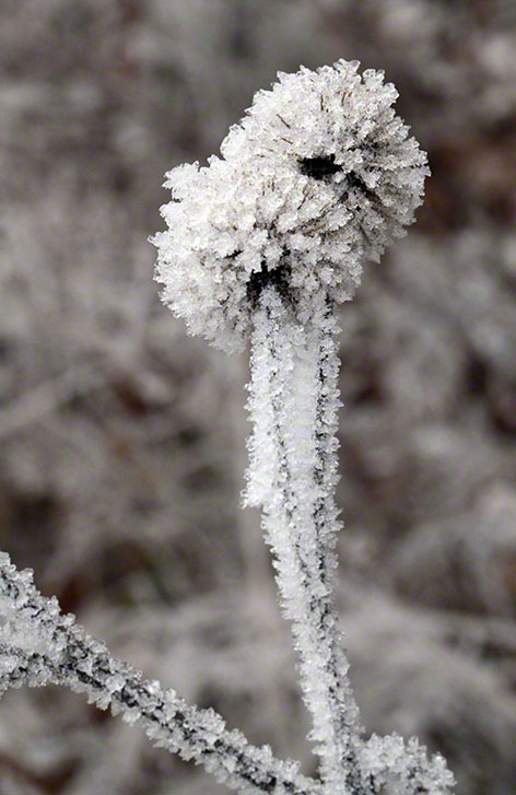 Raetsel-2013-12-24