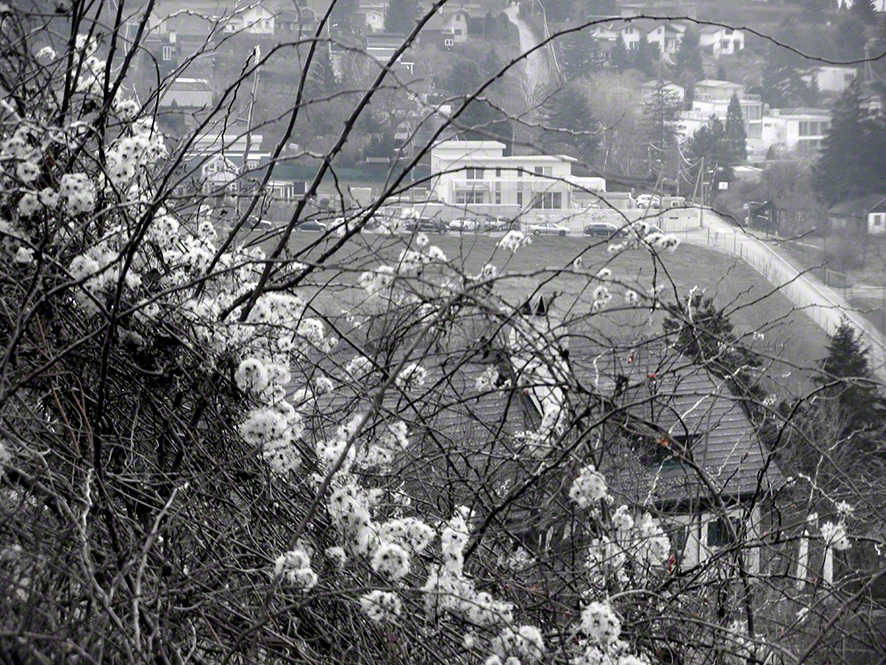 Wien Neustift
