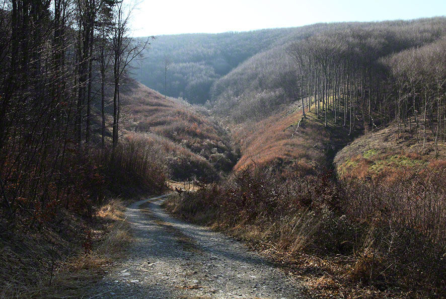Höllgraben Wienerwald