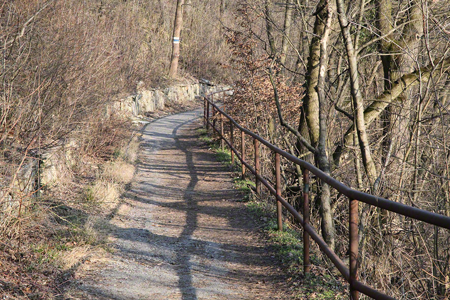Weg Weingärten