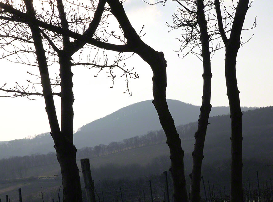 Blick in die Ferne