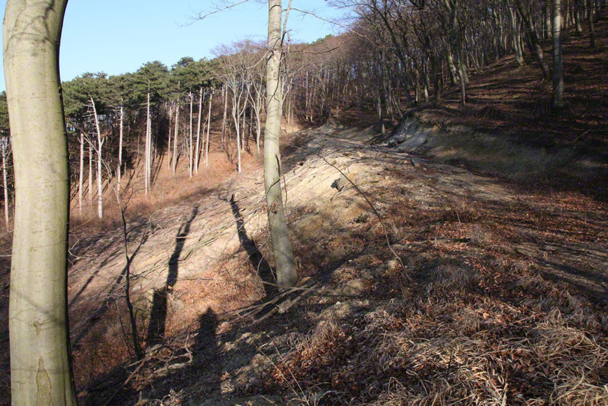 Wienerwald