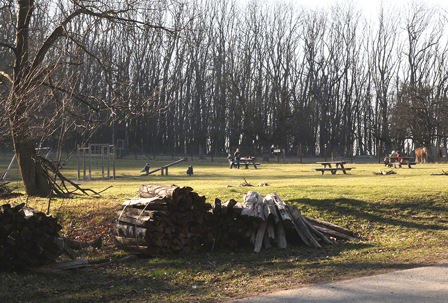 Jägerwiese, Wienerwald