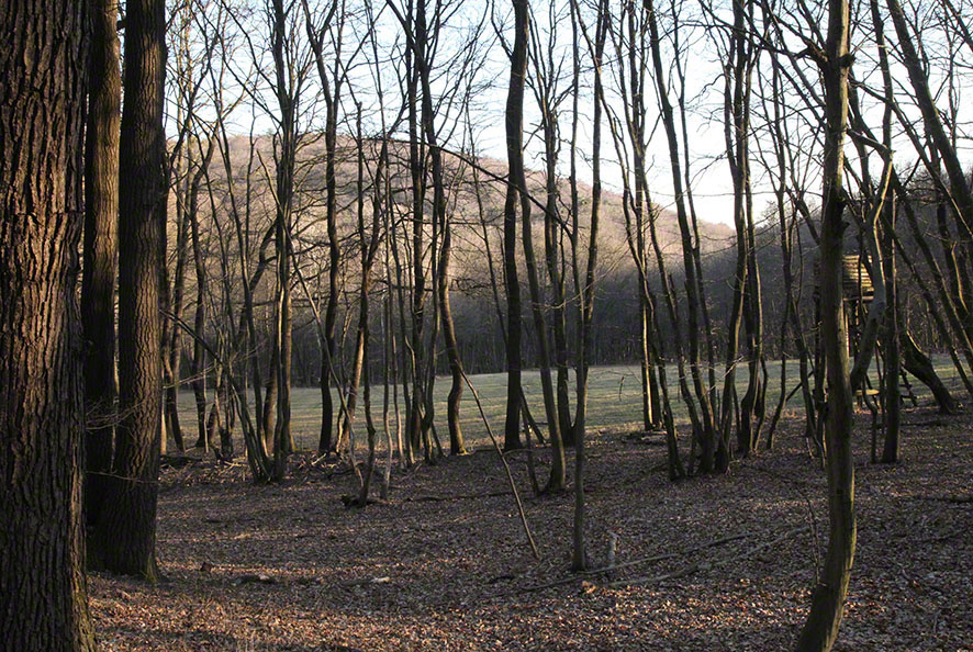 Wienerwald, Hartgrabenwiese