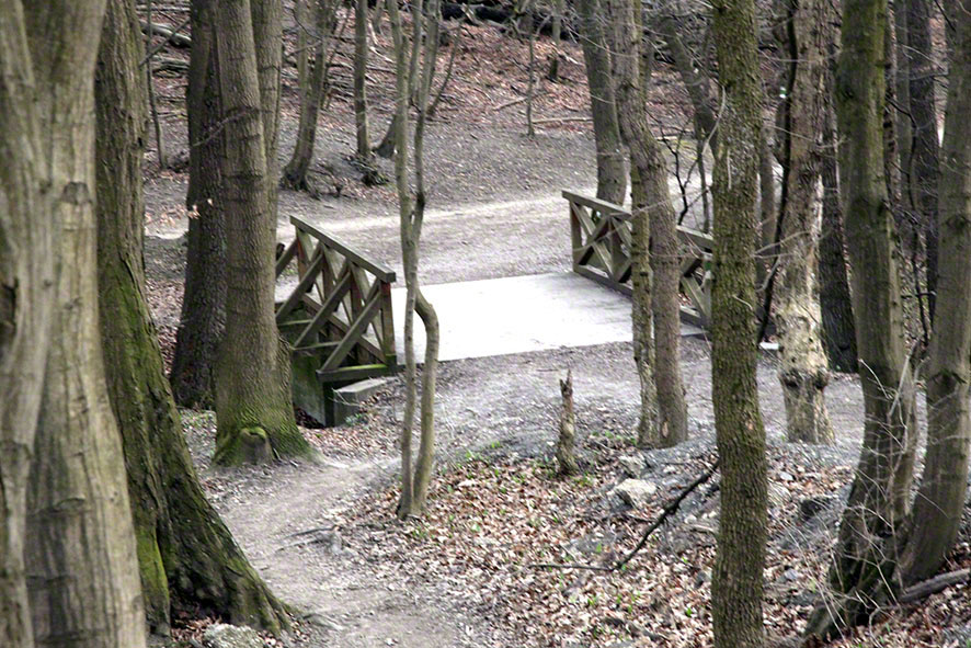 Wienerwald, Brücke