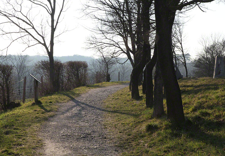 Wienerwald Cobenzl