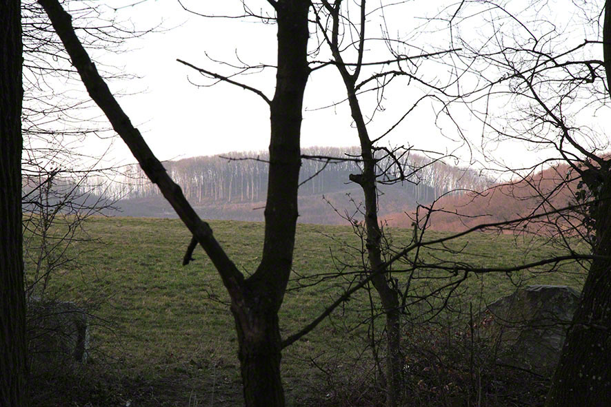 Wienerwald, Am Himmel