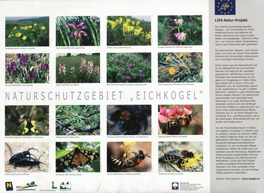 Eichkogel Naturschutz