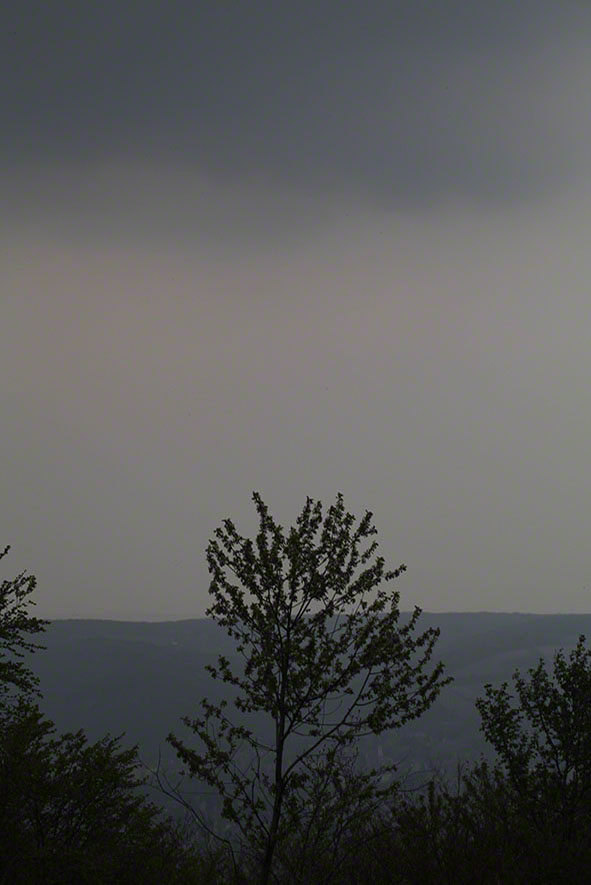 Wienerwald, Regen