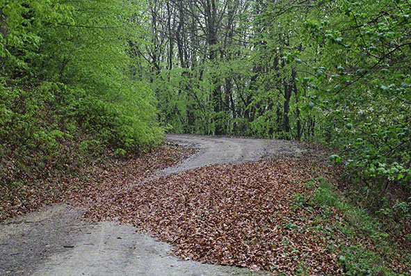 Wienerwald, Regen