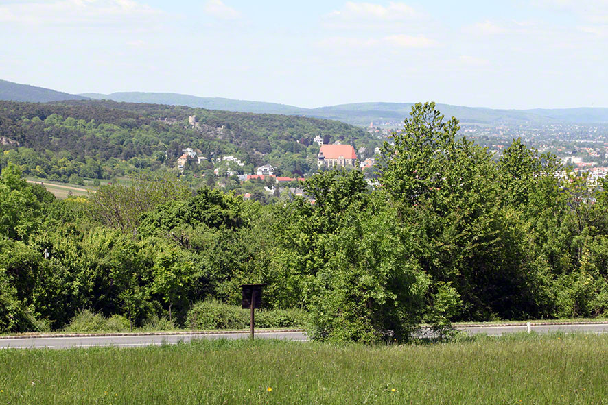 Eichkogel Blick auf Mödling