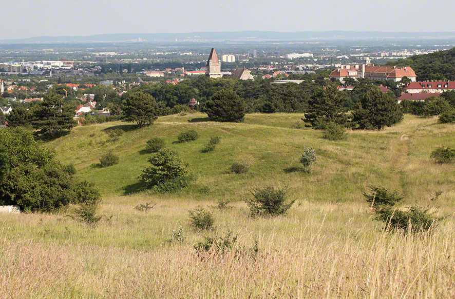 Perchtoldsdorfer Heide