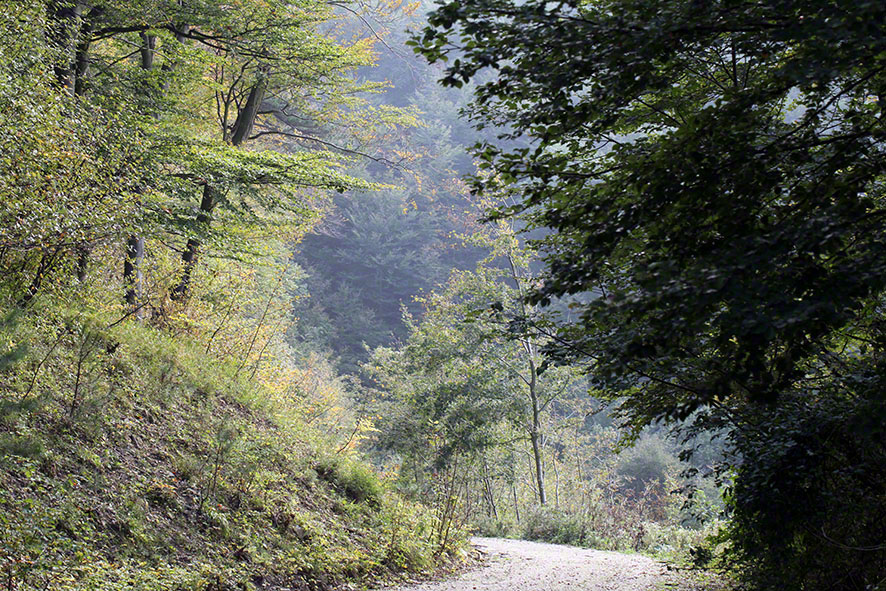 Landschaft, Weg