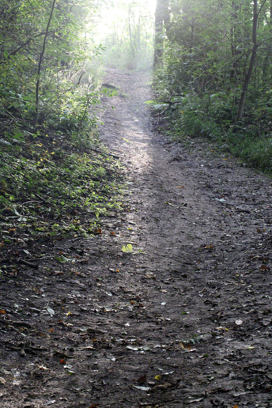 Weg im Gegenlicht