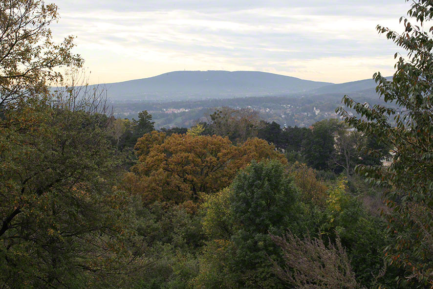Steinhofgründe, Ausblick