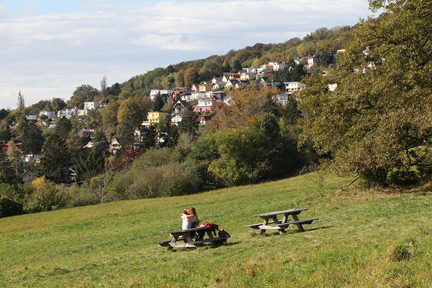 Steinhofgründe, Liebespaar