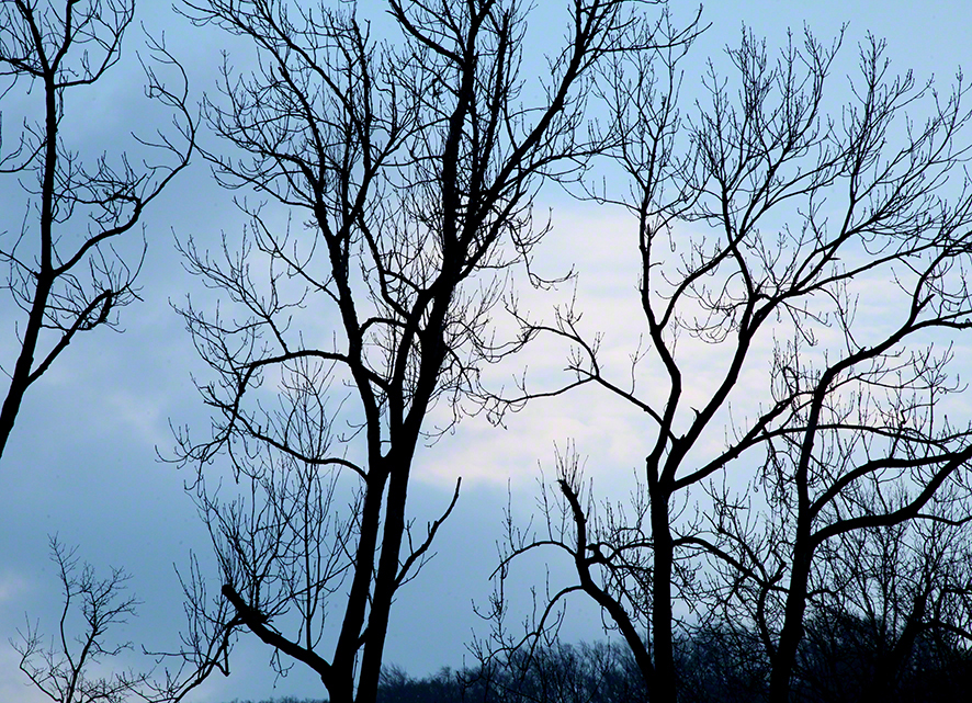 Wienerwald, Abendhimmel