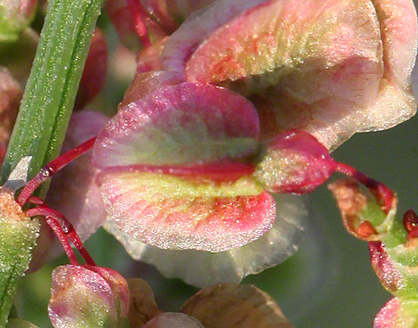 Rätsel-2015-07