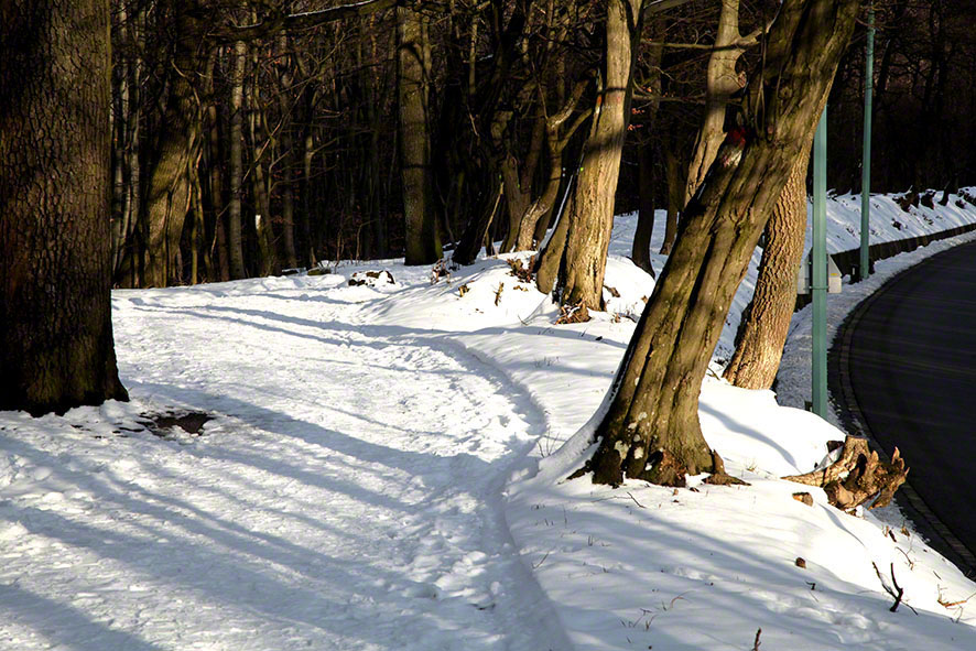 Weg zum Kahlenberg