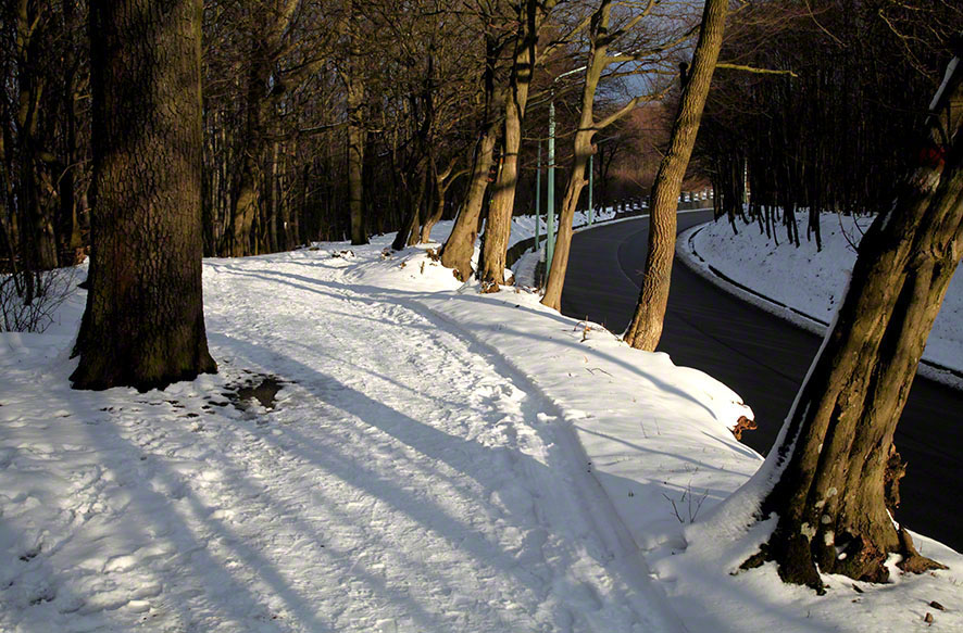 Weg zum Kahlenberg