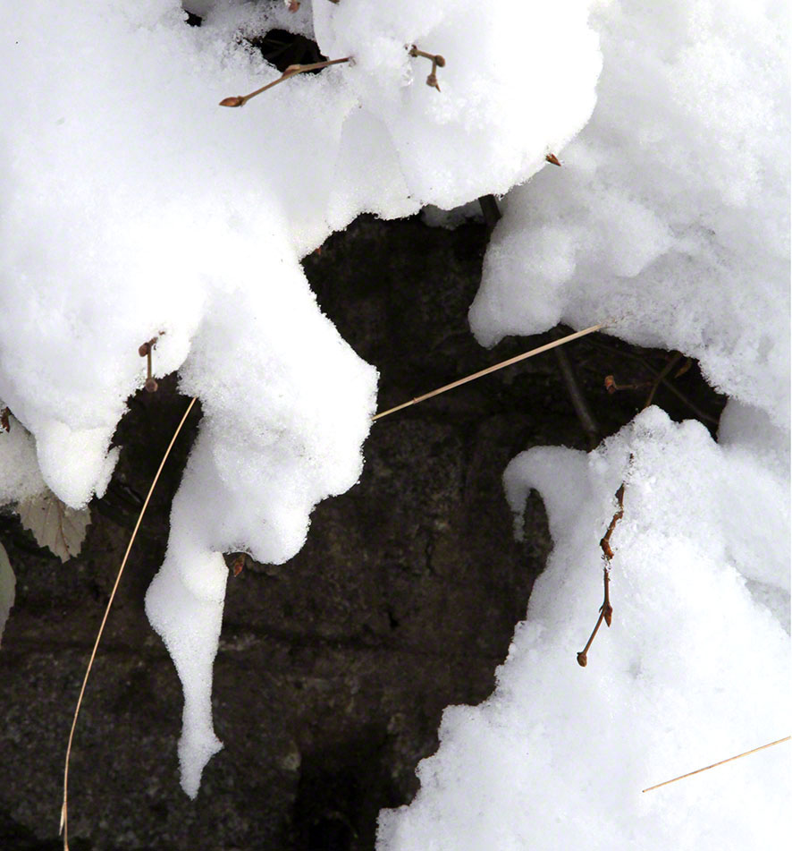 Schneemotive