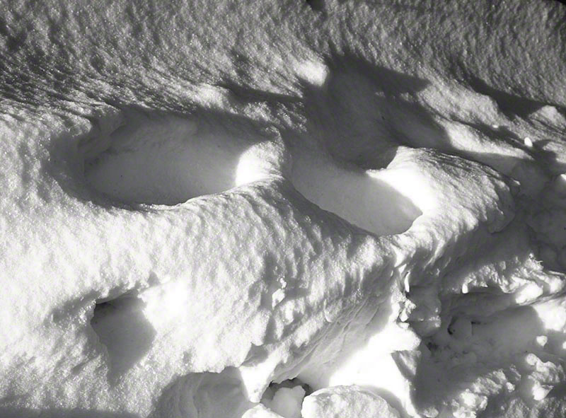 Schneemotive