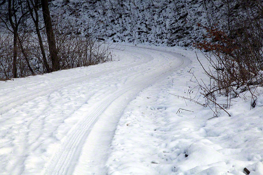 Wienerwald - Weg im Schnee