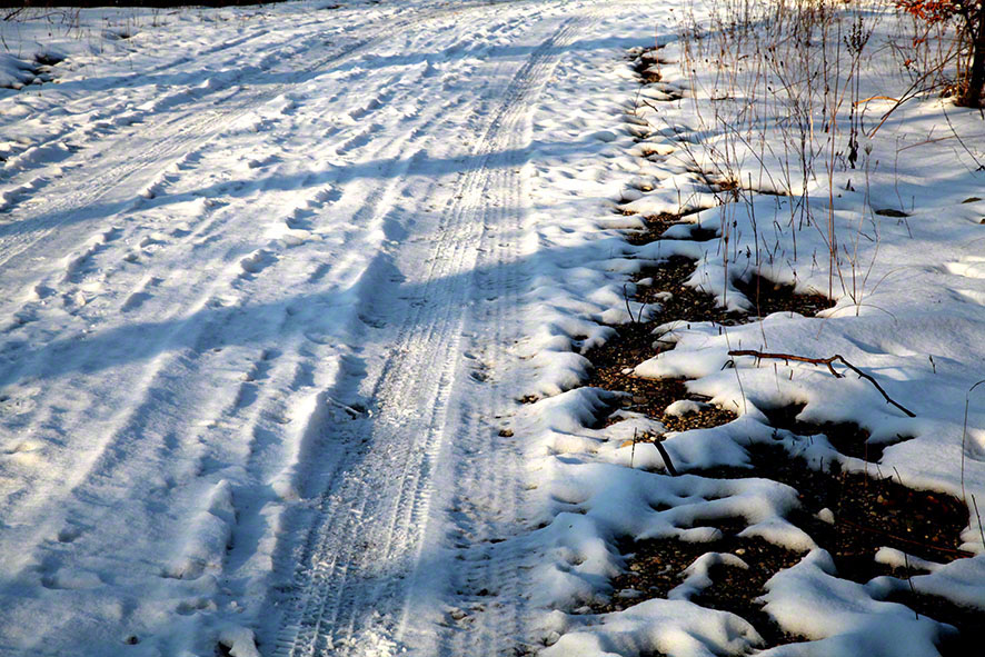 Wienerwald - Weg im Schnee