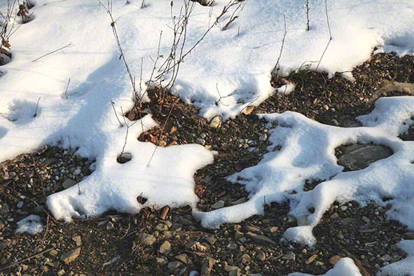 Wienerwald - Schnee, Steine und Erde
