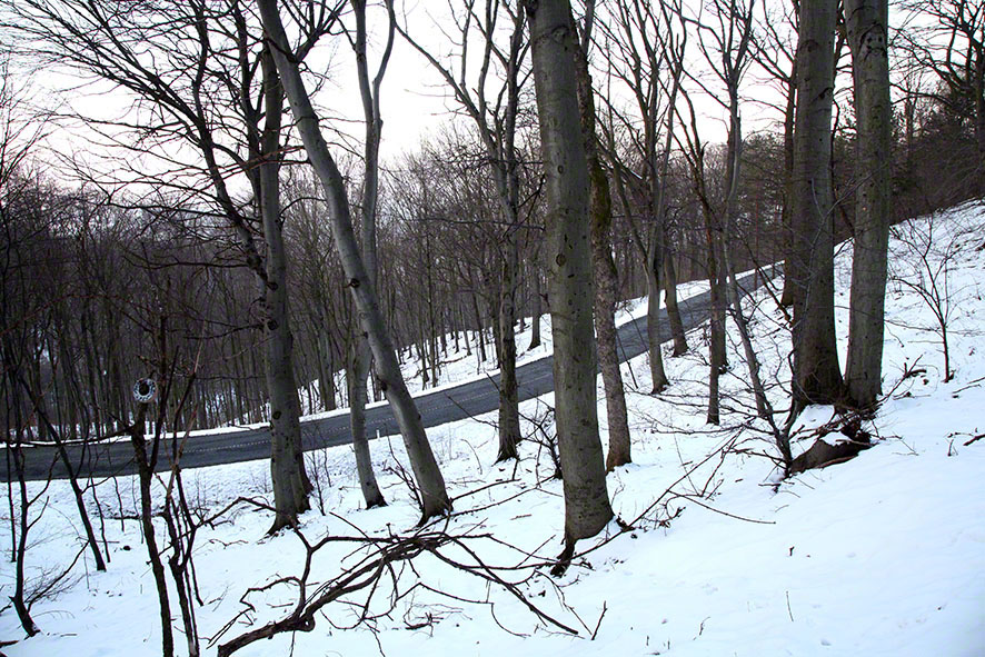Wienerwald - Höhenstraße