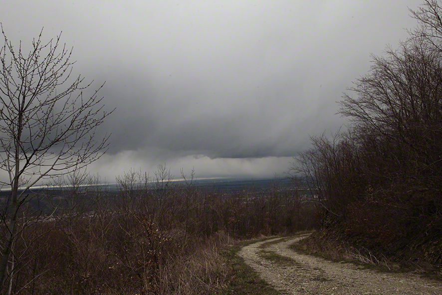 Wienerwald - Gewitter