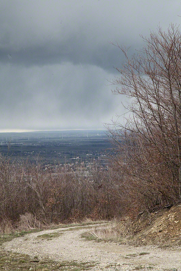 Wienerwald - Gewitter