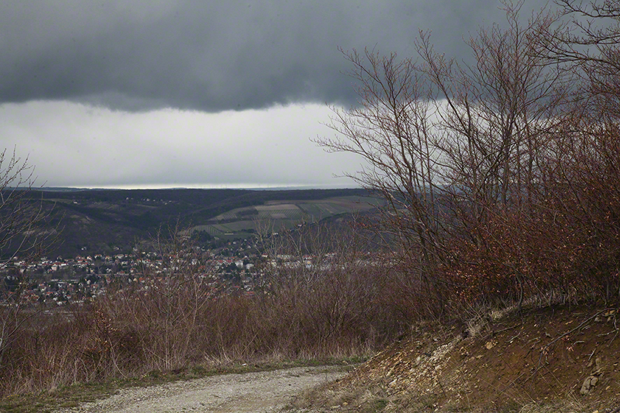 Wienerwald - Gewitter