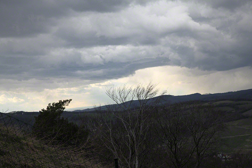 Wienerwald - Gewitter
