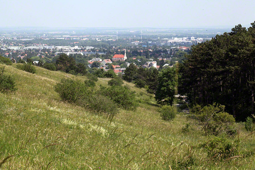 Perchtoldsdorfer Heide