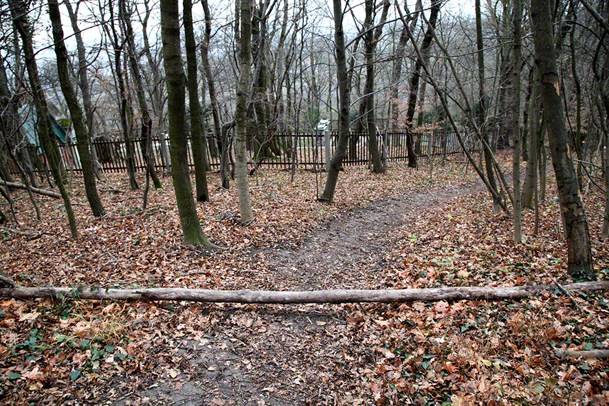 Weg zum Kahlenberger Friedhof