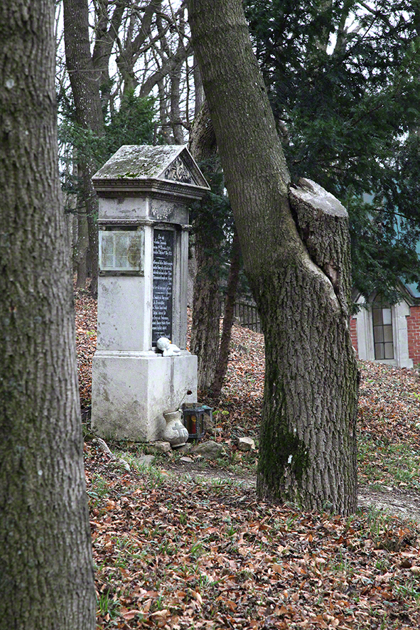 Friedhof Kahlenberg Caroline Traunwieser