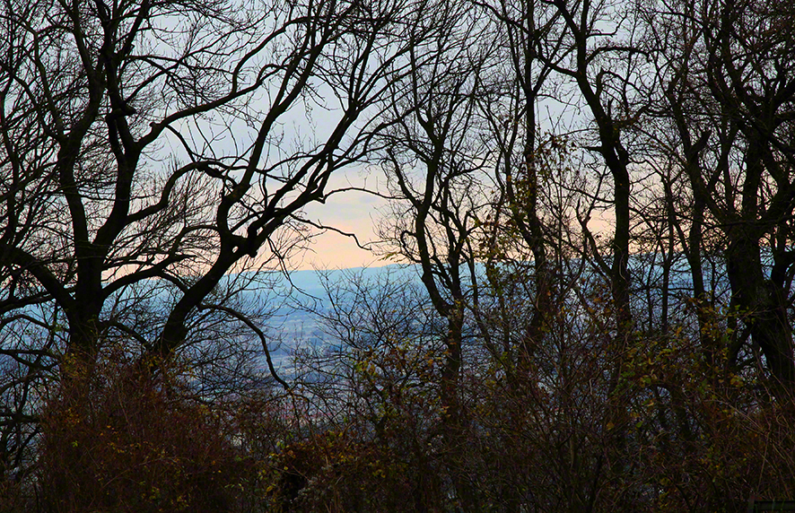 Blick vom Kahlenberg Friedhof ins Abendllicht