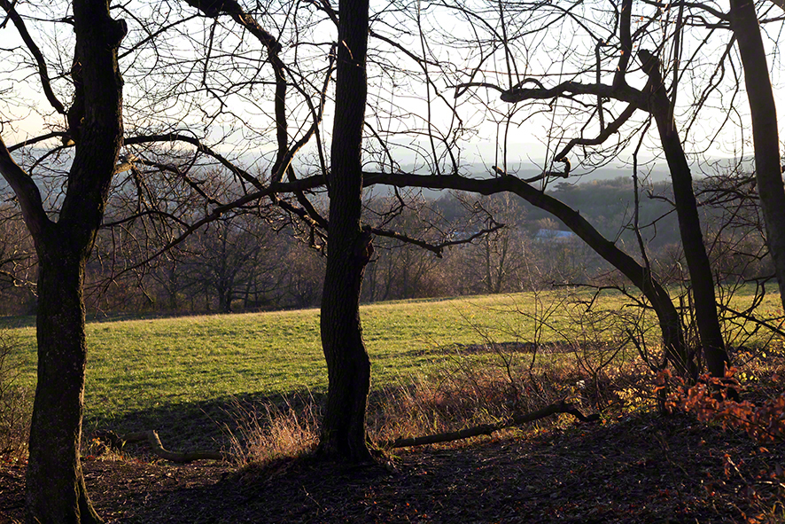 Wienerwald - Ausblick