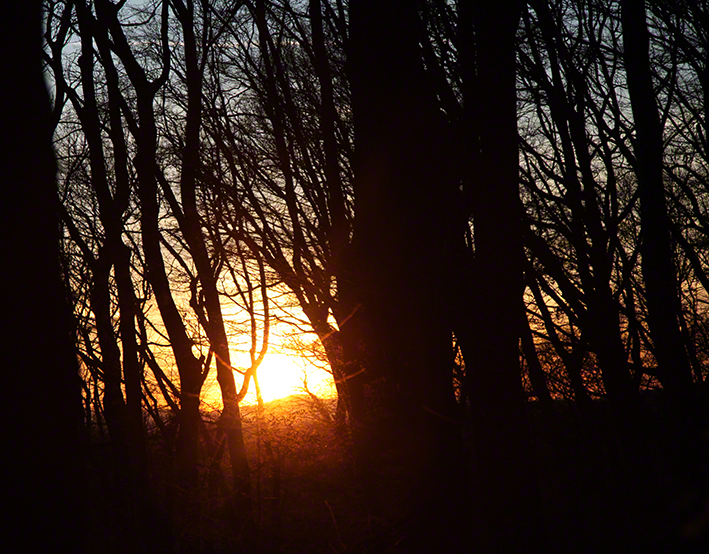 Wienerwald - Sonnenuntergang