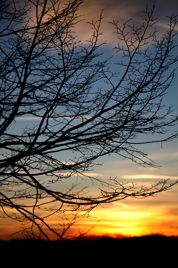 Wienerwald - Sonnenuntergang