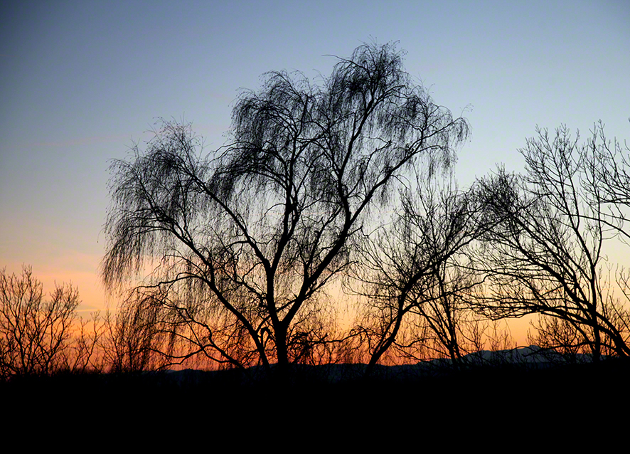 Wienerwald - Sonnenuntergang