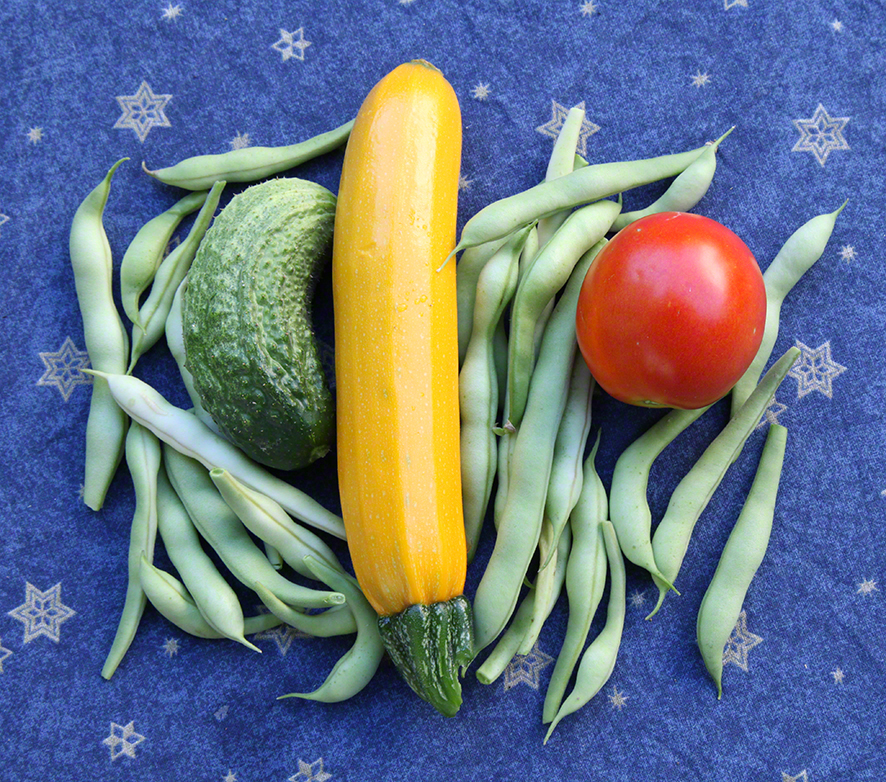 Gemüse im Garten Wien-Sievering