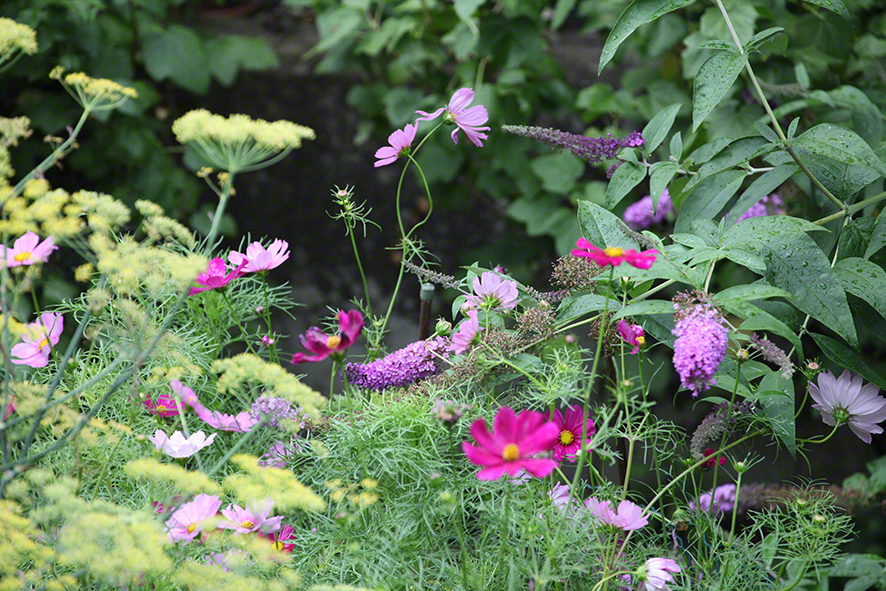 Garten in Sievering
