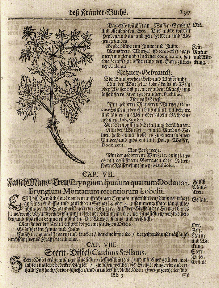 Nyland Kräuterbuch