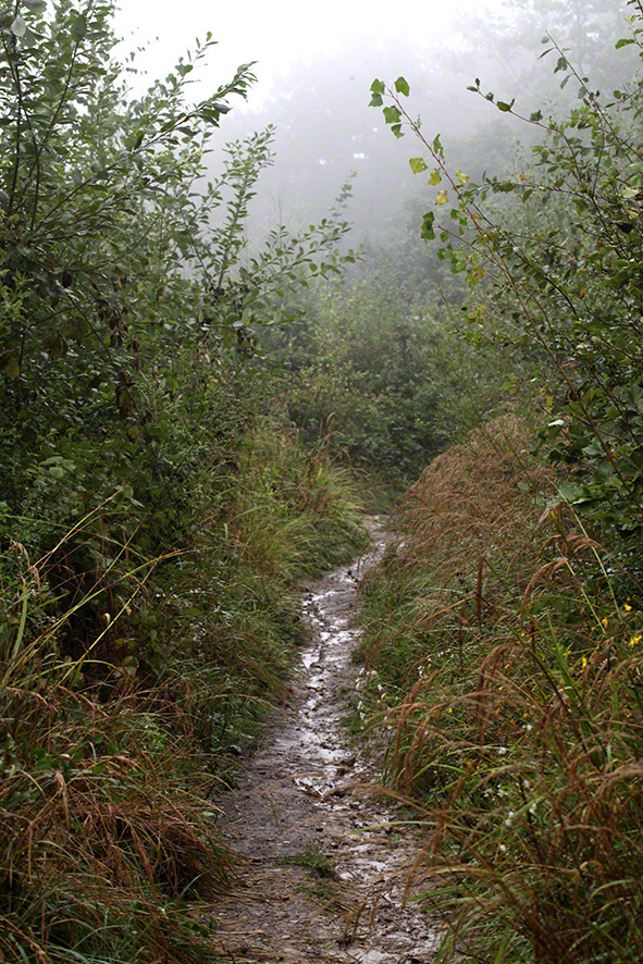 Weg im Nebel