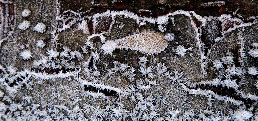 Wienerwald, Rinden-Frostbilder