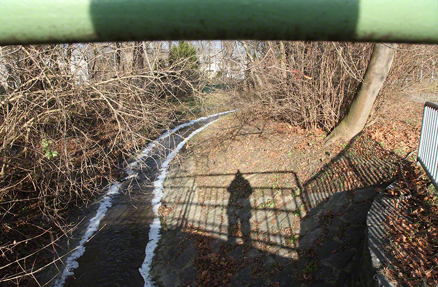 Perchtoldsdorfer Heide