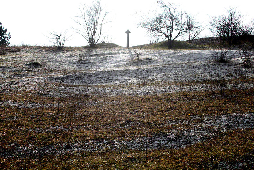 Perchtoldsdorfer Heide