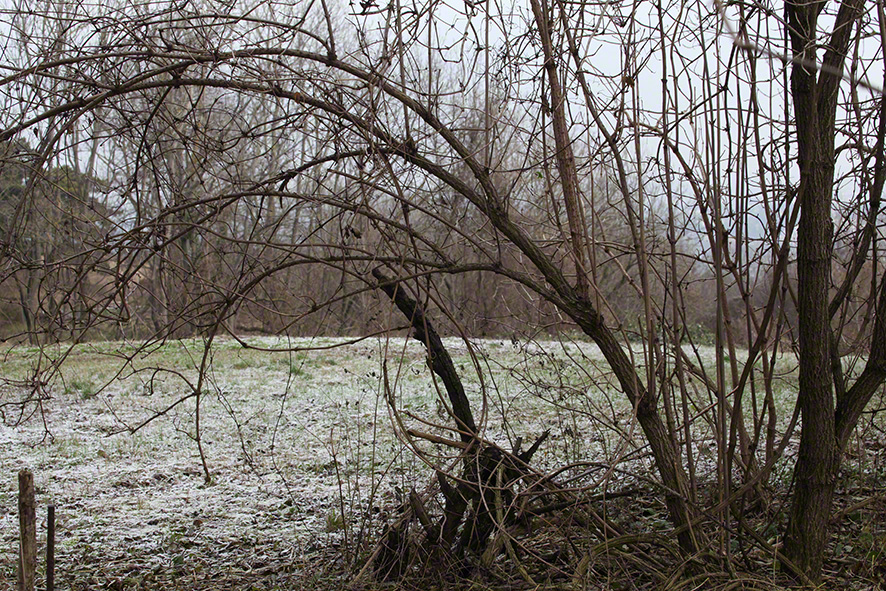 Perchtoldsdorfer Heide